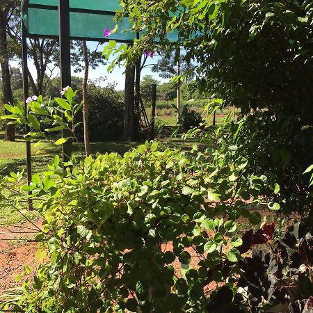 Iguazu Apart Hostel Puerto Iguazú Zewnętrze zdjęcie
