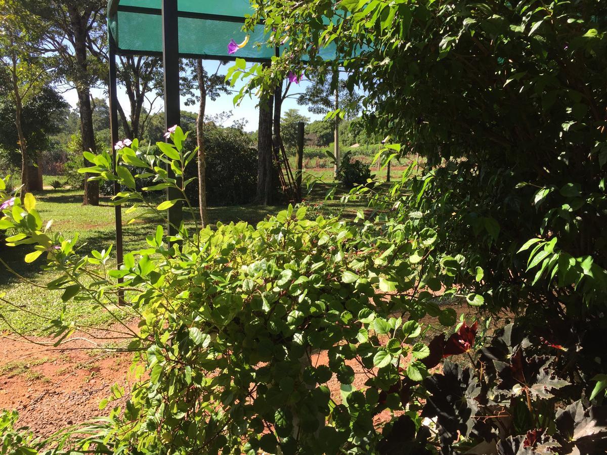 Iguazu Apart Hostel Puerto Iguazú Zewnętrze zdjęcie